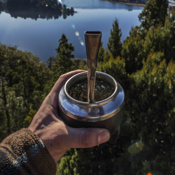 Yerba mate – skarbnica witamin i minerałów w Twoim matero!