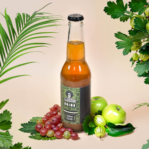 Fruit Drink Guarani – Napój owocowy z Yerba Mate – Mentha & Boldo 330 ml